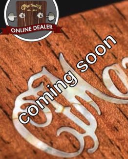 image of Martin D-41 SB Reimagined