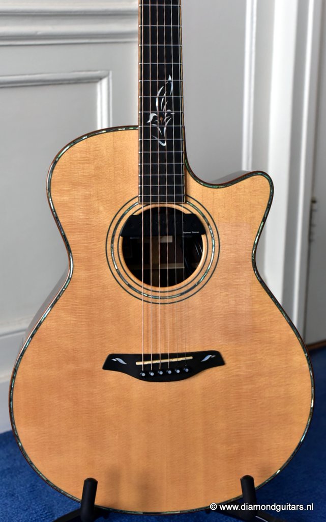 02 Furch G25SR Millenium