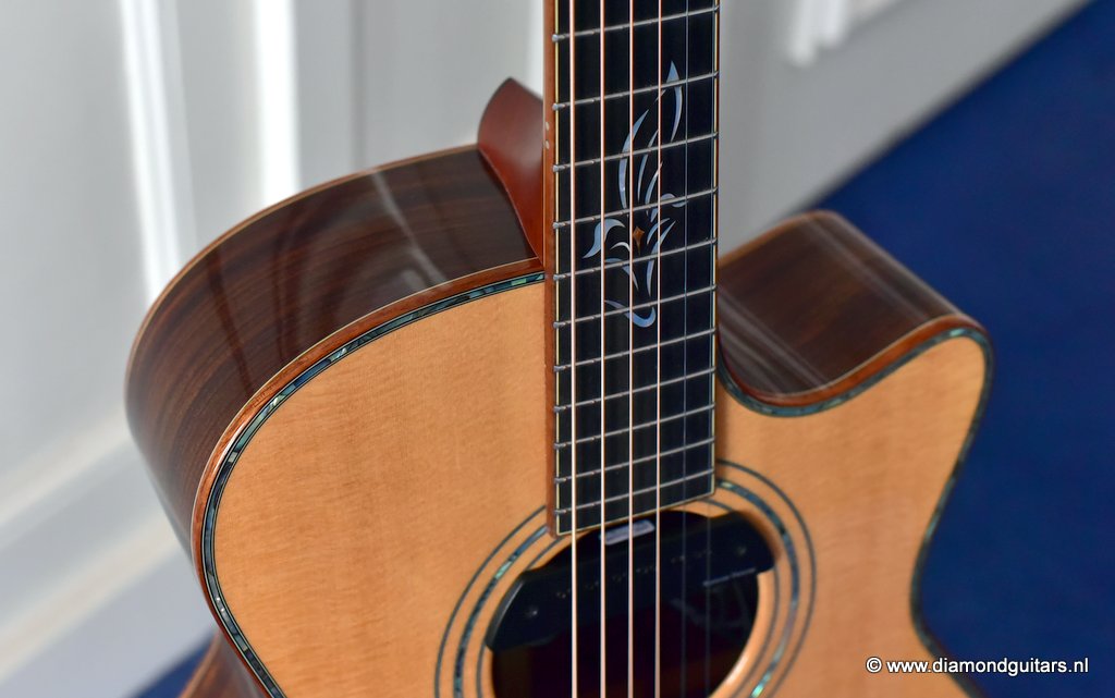 05 Furch G25SR Millenium