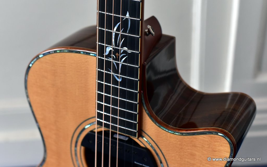 06 Furch G25SR Millenium