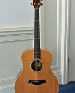 image of taylor gs5