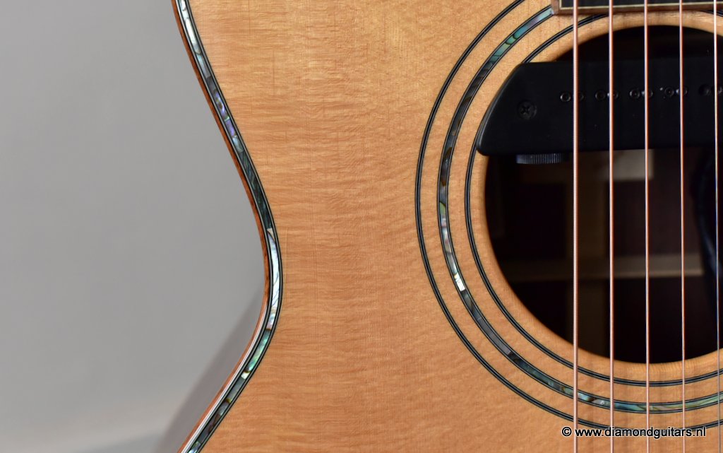 11 Furch G25SR Millenium