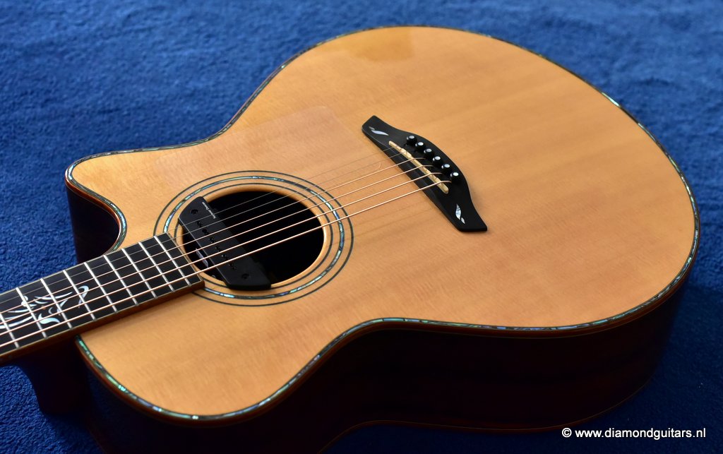 12 Furch G25SR Millenium