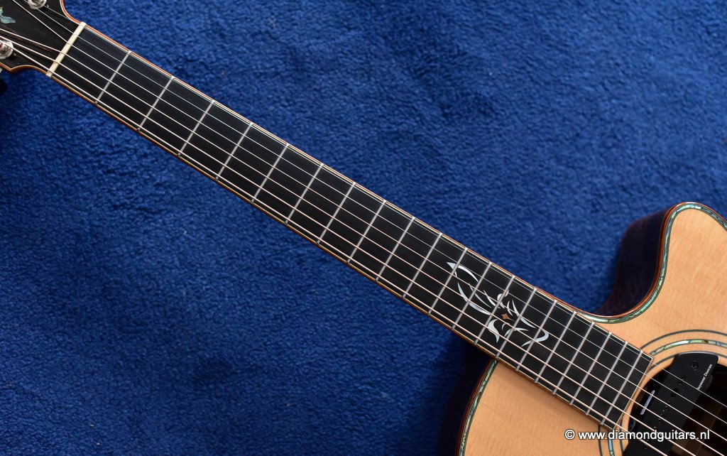 15 Furch G25SR Millenium