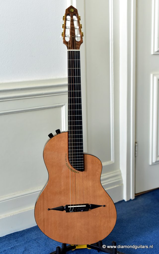 Turner RN-6 image of product