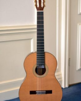 image of Ignacio Paricio