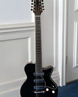 image of Yanuziello 12 string