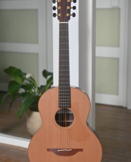 image of Lowden S25 12-fret