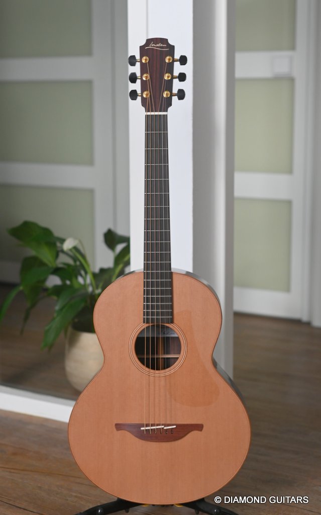 Lowden S25 12-fret image of Lowden S25 12-fret