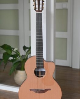 image of lowden s25j