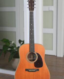 image of Martin D-28 Rich Robinson