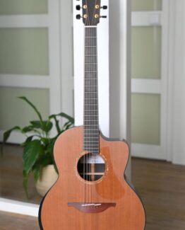 image of lowden f50c african blackwood